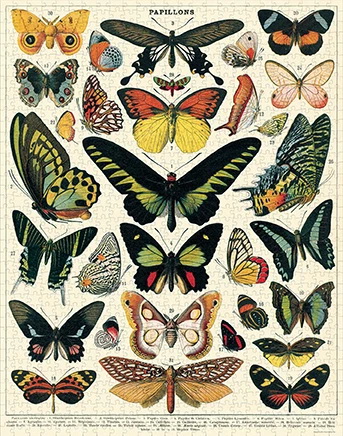 Puzzle Butterflies Cavallini 1000 pièces