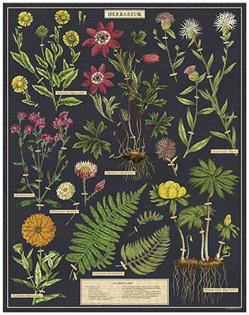 Puzzle Herbarium Cavallini 1000 pièces