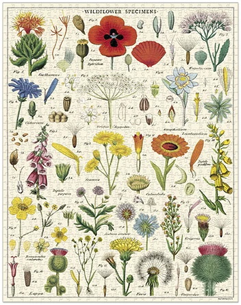 Puzzle Wildflowers Cavallini 1000 pièces