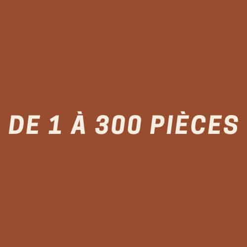 Puzzle de 1 à 300 pièces