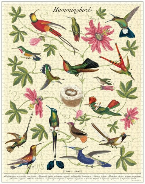 Puzzle Hummingbirds Cavallini 1000 pièces
