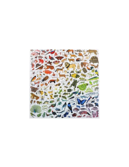 Puzzle A rainbow world - Eeboo - 1000 pièces