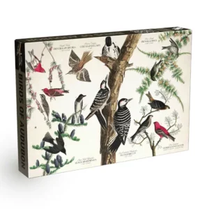 puzzle Birds Of Audubon penny 1000 pièces
