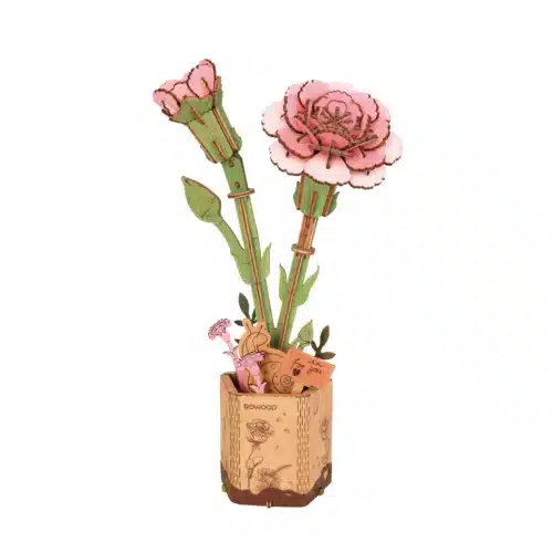 DIY - Pink Carnation