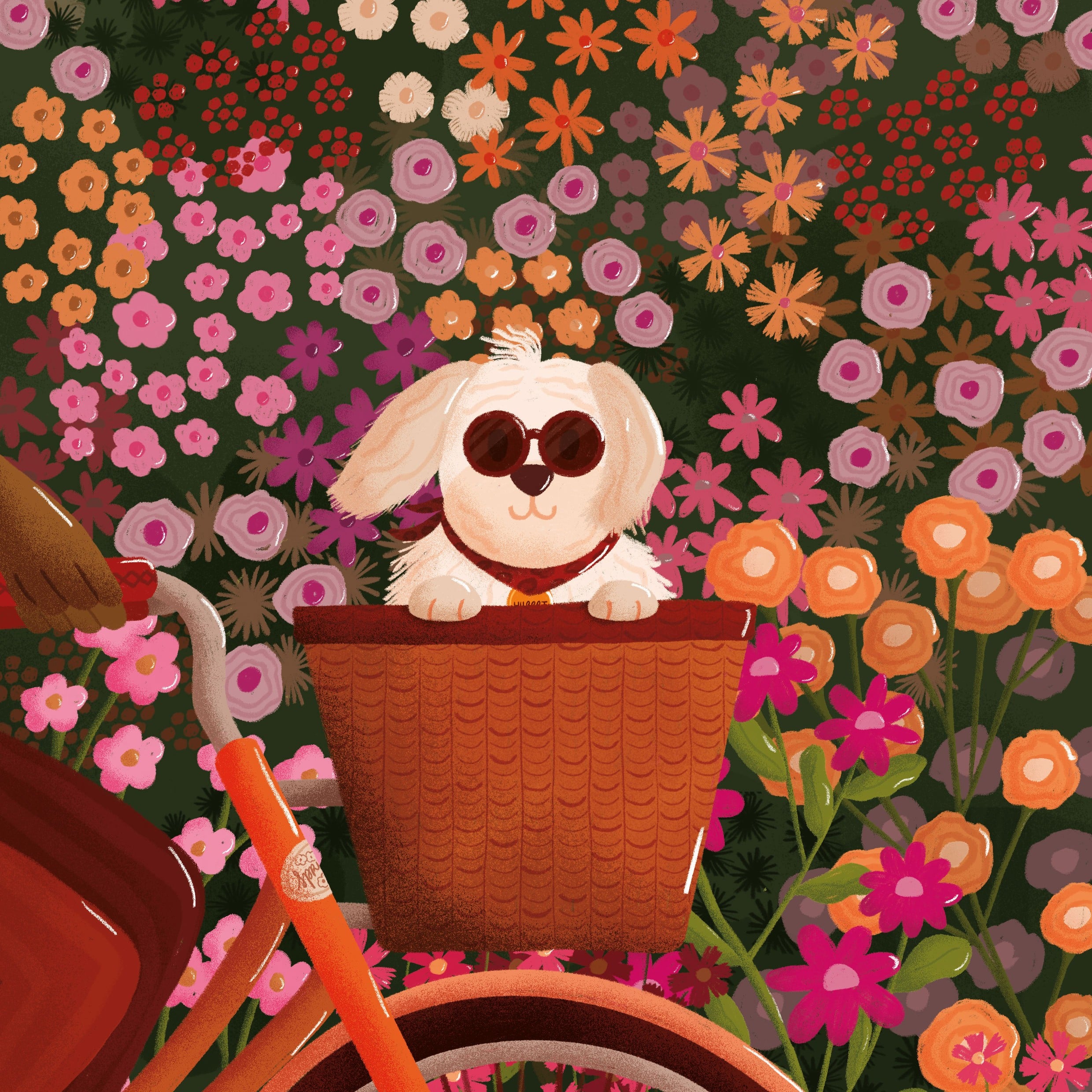 la balade marion brouillon coffret blog