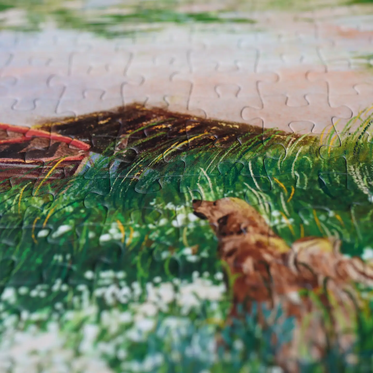 puzzle Through the Wild weve 1000 pieces detail