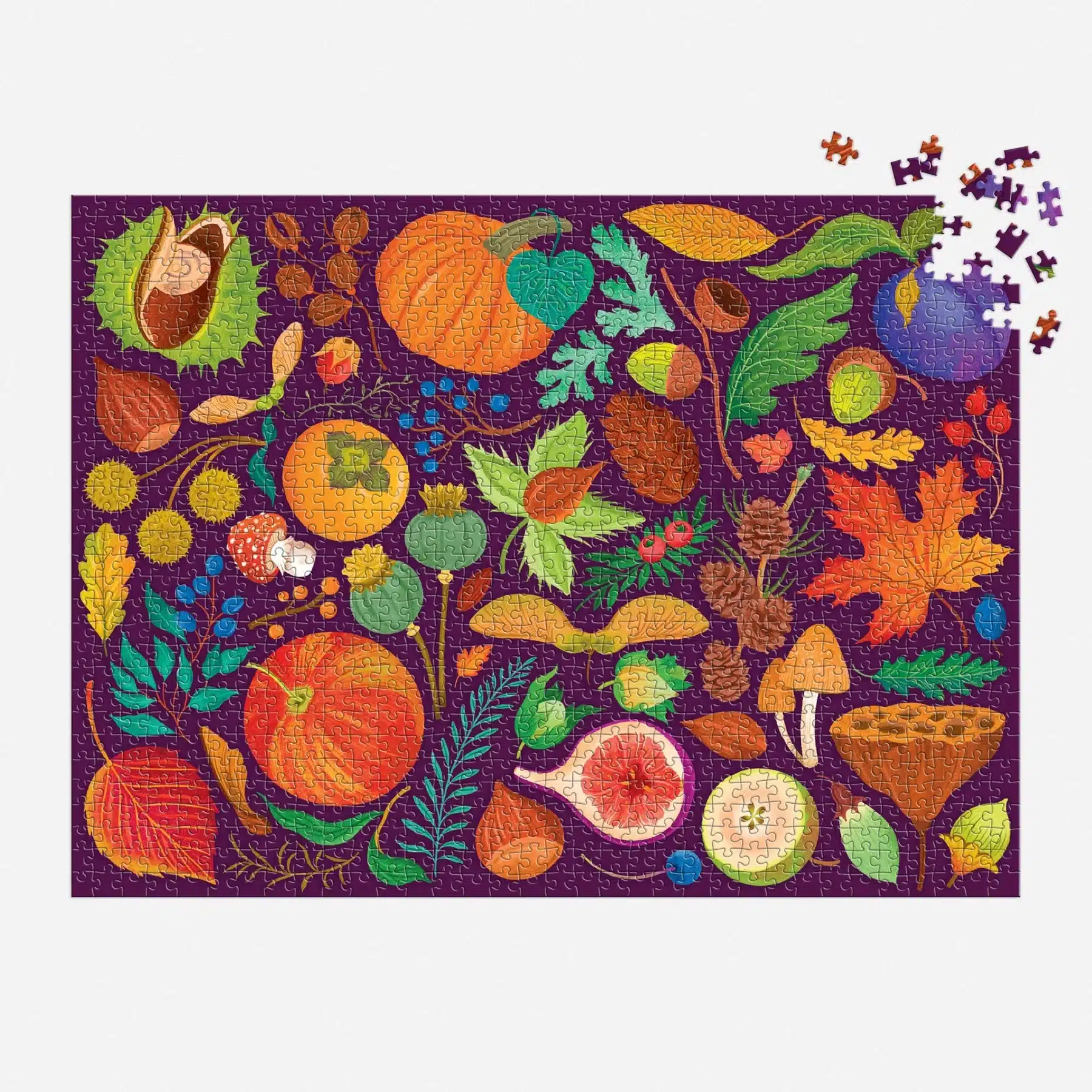 puzzle monté du puzzle world of fall flora de galison de 1000 pièces